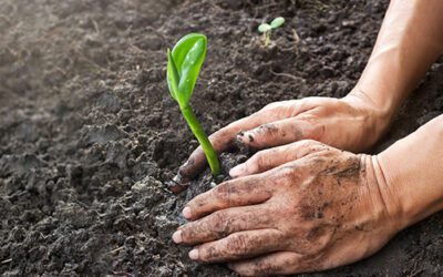 Capital Semilla de CORFO: ¡Postulaciones abiertas!