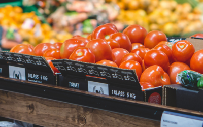 Fondo concursable para Ñuble: ¡Digitaliza tu almacén!