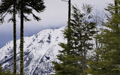 Cómo emprender con el turismo en Chile