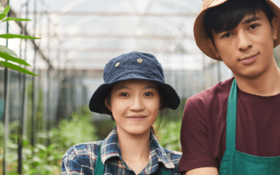 Emprendimiento juvenil: Desafíos y oportunidades principales