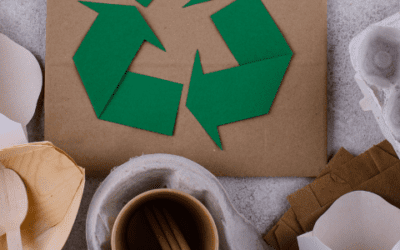 Beneficios de los emprendimientos sustentables en Chile