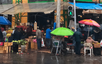 El impacto del emprendimiento en Chile: Motor de economía