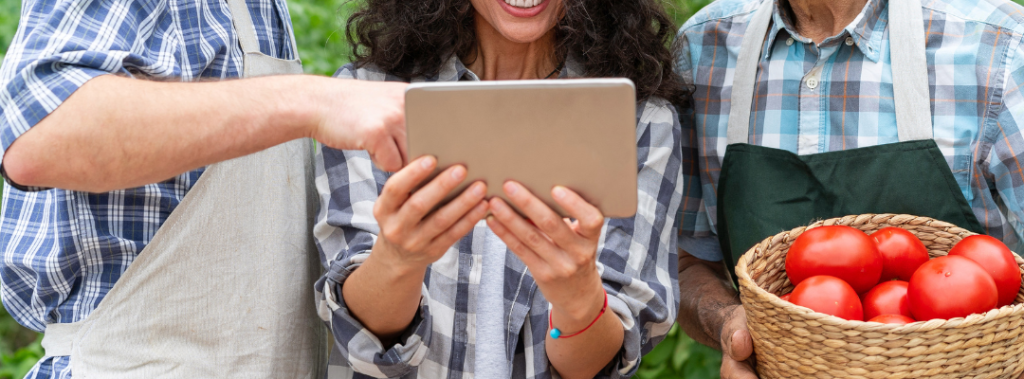 Usa la tecnología para potenciar el desempeño de tu empresa